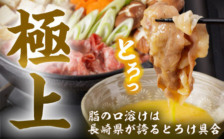 長崎和牛 切り落とし 計900g（300g×3パック）【日本ハムマーケティング株式会社】[QBW001]