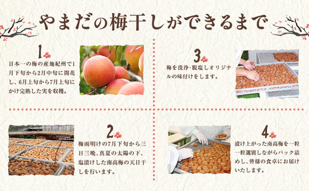 梅 紀州南高梅 しそ プレミアム 塩分 約6% 500g