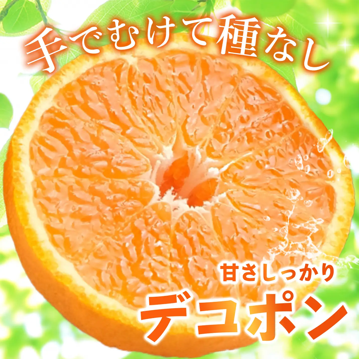【2027年1月中旬より発送開始】不知火(デコポン) 約5kg(H116137)
