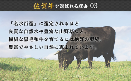 佐賀牛色々食べ比べ