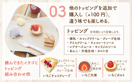 いちご摘み＆スイーツづくり体験券　2名様分 いちご狩り 行事