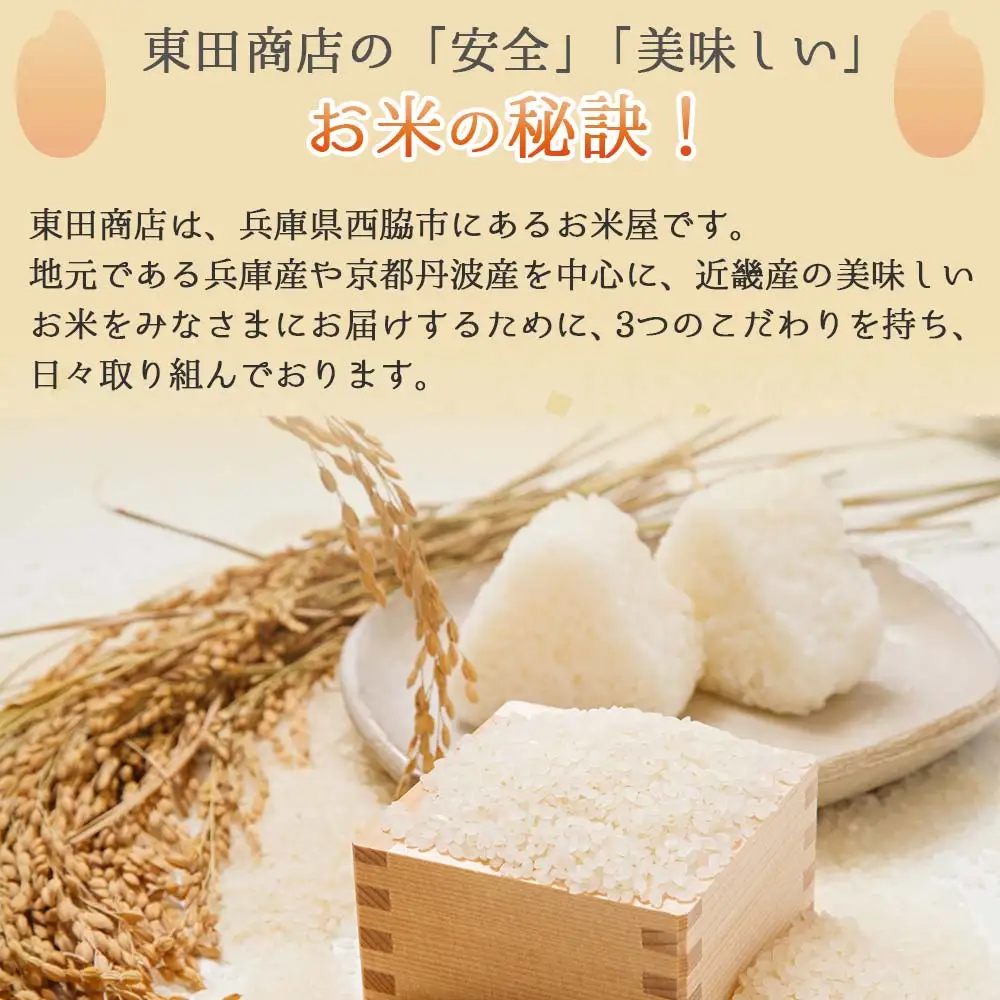 【ヒノヒカリ】令和７年産 白米20kg【5営業日以内に発送】