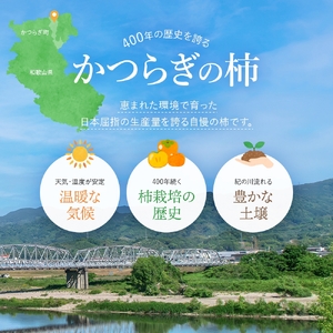 柿 希少【輝太郎】大玉6個～7個 コクのある甘さ！こだわり農家厳選【2026年9月末～10月末頃に順次発送予定】【KG24】【BK024-kgr018】