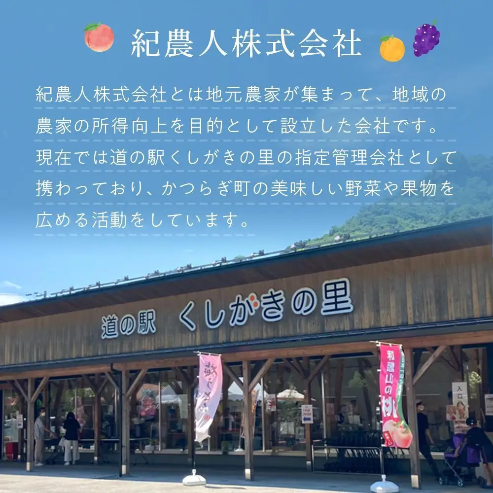 希少な柿［輝太郎］大玉6個～7個 コクのある甘さ！こだわり農家厳選［2026年9月末から10月末頃順次発送］［KG24］