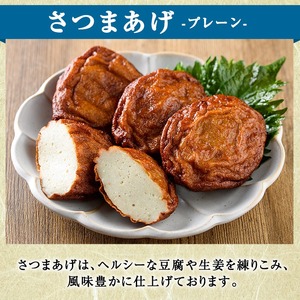さつまあげ(プレーン・計20個) さつまあげ さつま揚げ 薩摩揚げ つけあげ 練り物 練物 おかず おつまみ 海産物 贈答 ギフト【椎木水産】akn054-03