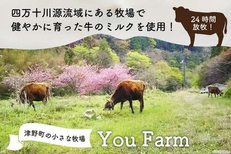 You Farmのカスタードプリン(90g×6個) [You farm 高知県 津野町 26ae0001]