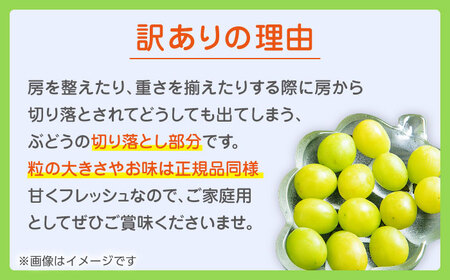 【先行予約】【2回定期便】 訳あり シャインマスカット 切り落とし 約700g  【合同会社 社方園】[ZBZ043]