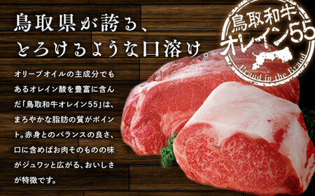 鳥取和牛オレイン５５カレー １０個セット レトルトカレー 鳥取和牛