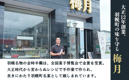 羽幌名物 ミニ金時羊羹3本入【1110901】