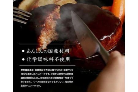 能登牛 100% グリルドハンバーグ 140g 4個 [てらおか風舎（寺岡畜産株式会社） 石川県 志賀町 AA4284]