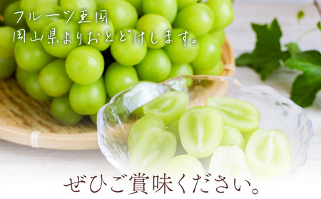 シャインマスカット 晴王 2房 桃茂実苑【配送不可地域あり】ぶどう