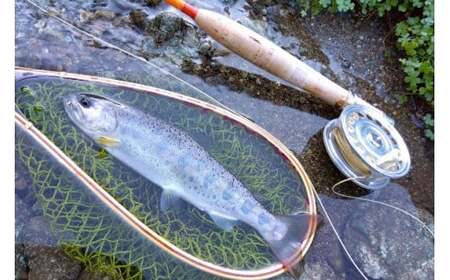 BH2　【一日一組限定】ルアーフライ専用　管理釣り場　一日貸切り権　【 釣り つり 体験 チケット 渓流釣り アマゴ フライフィッシング 竿 ルアー フライ 限定 貸切】