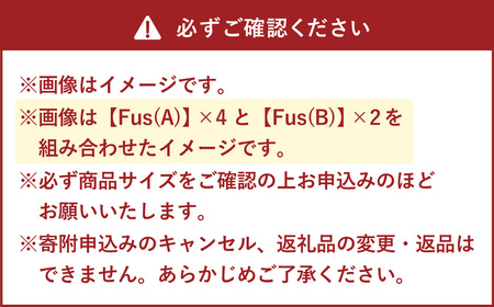 Fus （A） 椅子 イス インテリア オブジェ 置物