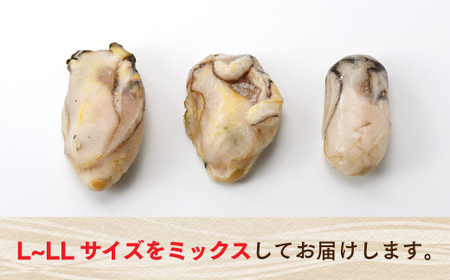 A1524.旬を急速凍結した濃厚な牡蠣（１ｋｇ）．バラ凍結．国産