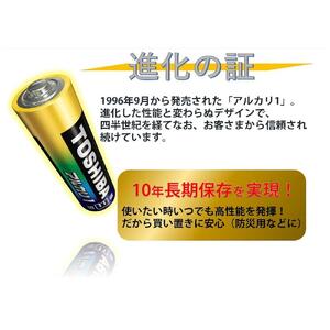 東芝 防災グッズ アルカリ乾電池単3・4形 懐中電灯 LEDランタン付ライト X-BOUSAI SET MINI