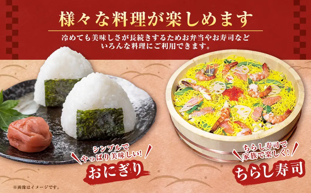 【令和7年度産】 蘭越町産ななつぼし 5kg 白米 北海道産 米 コメ こめ お米 通常発送
