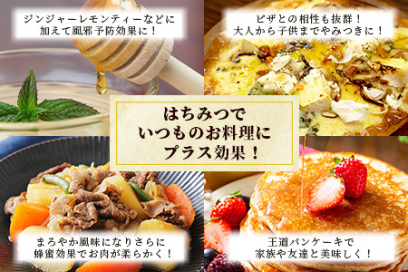 【無添加 非加熱】標高800m たっちゃんのこだわり蜂蜜【170g×2本】(送料無料 宮崎県 椎葉村 秘境 蜂蜜 はちみつ ハチミツ みつばち ミツバチ 伝統的 養蜂 国産 天然 百花蜜 巣箱 数量限定 季節 希少 防災 備蓄 170g 340g) TN-05