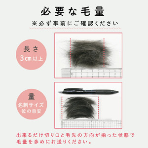 「ペットチャーム」1個 お仕立券 ku072-026-r