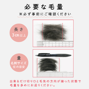 「ペット筆」1個 お仕立券 ku072-027-r