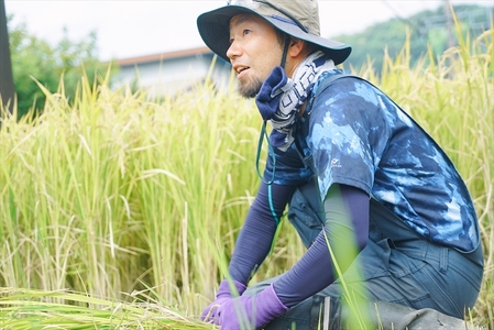 玄米デカフェ　ドリップ10個＋粉200ｇ　セット【 デカフェ ドリップバッグ 神奈川県 山北町 】