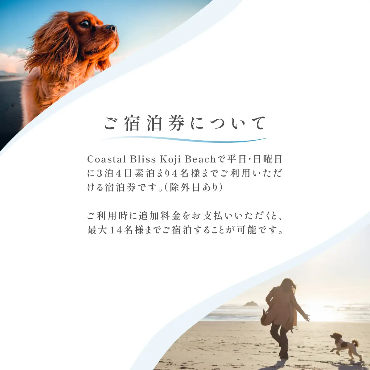 ３泊４日素泊まりプラン宿泊券／４名様まで（平日・日曜宿泊限定） Coastal Bliss Koji Beach 1棟貸切貸別荘 旅行 宿泊 補助券 チケット サウナ ジャクジー 友人 ファミリー お子様 ワンちゃん ペット 千葉県 白子町 幸治海岸 1棟貸切 貸別荘 SHAL005