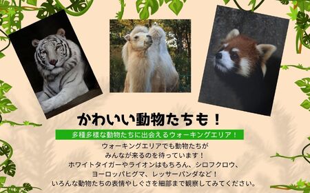 東北サファリパーク入園チケット 大人2名＋小人2名（ 入園チケット＋草食動物のエサ）【株式会社東北サファリパーク】