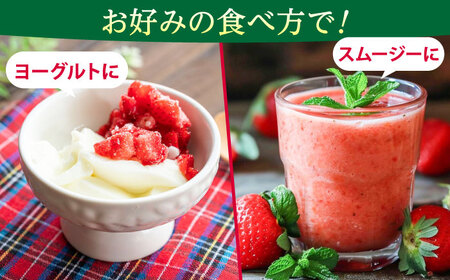 福岡県産 冷凍あまおう 250g（250g×1個）[ABEB024] いちご イチゴ 苺 果物 フルーツ [ABEB024] 