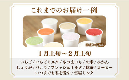 【3回定期便】シュシュのスペシャルジェラート12個セット（定番/季節限定/スペシャル2種） / アイス アイスクリーム ジェラート スイーツ /  大村市 / おおむら夢ファームシュシュ [ACAA420]