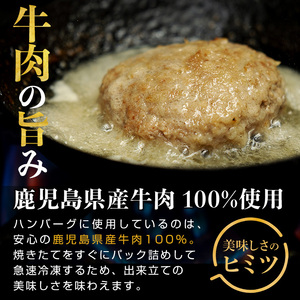 No.1226 ＜定期便・全3回(連続)＞ハンバーグ専門店の牛肉100％ハンバーグ ソース2種付！(140g×5個×3回・総容量2.1kg) 鹿児島県産 お肉 デミグラス 和風 おかず 惣菜 保存料/着色料不使用 冷凍 湯煎 温めるだけ 冷凍ハンバーグ【レストラン プチ・ポア】