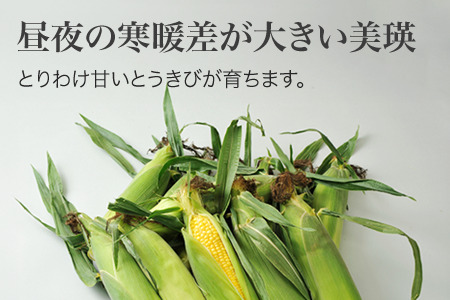 とうもろこし ≪令和8年産予約受付≫ スイートコーン(黄12本)  朝もぎとうもろこし   [013-91]