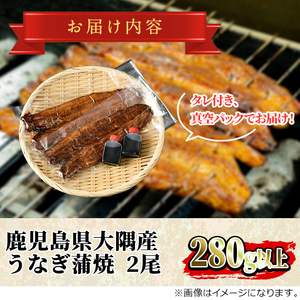 【0263708a-2607】＜丑の日までにお届け！＞鹿児島県産東串良町のうなぎ蒲焼・秘伝のタレ付き(2尾・計280g以上) うなぎ 高級 ウナギ 鰻 国産 蒲焼 蒲焼き たれ 鹿児島 うな重 うな丼 土用の丑の日 【うなぎ太郎】