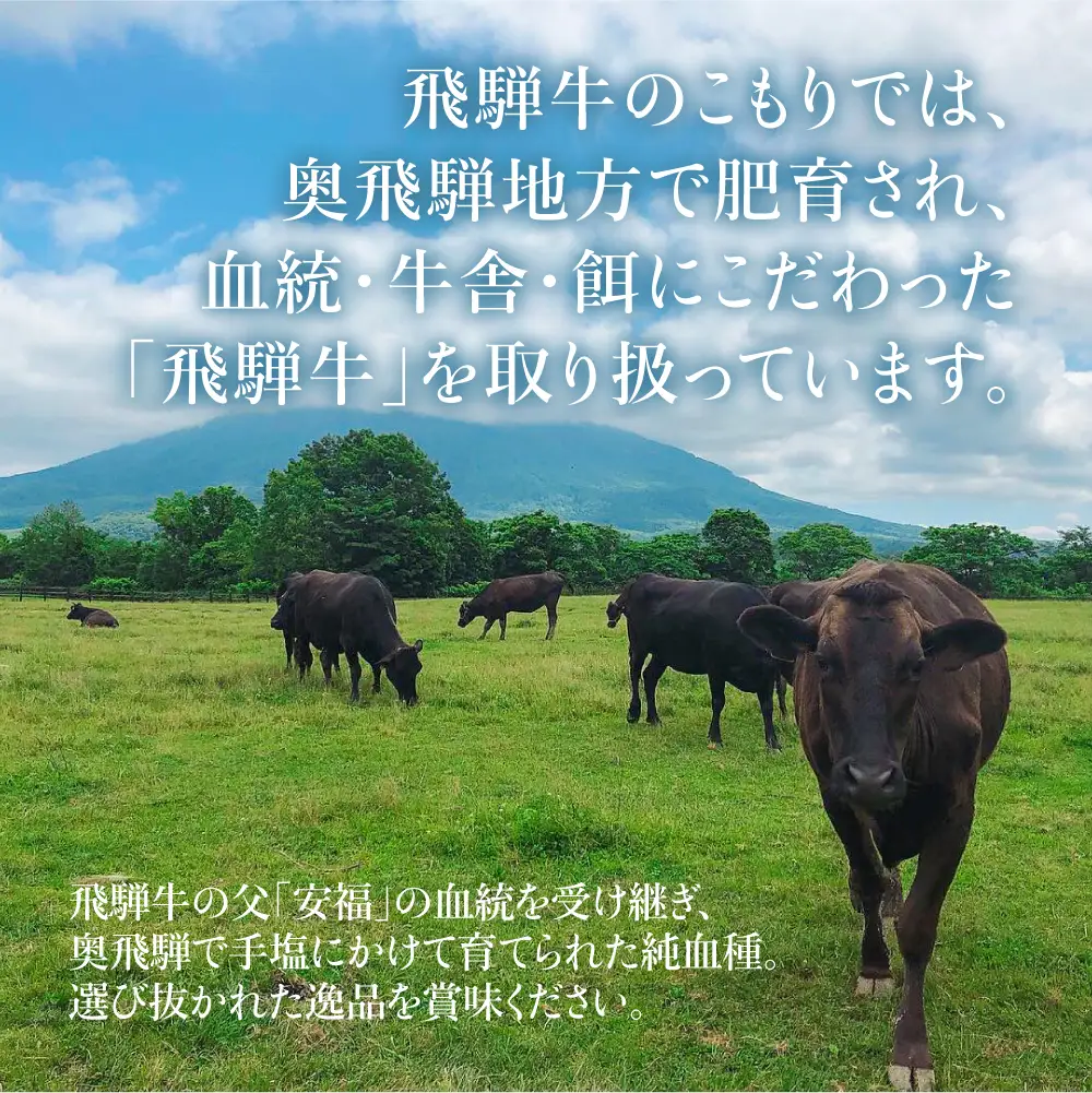 【ふるなび限定】牛肉 切り落とし 280g×2パックセット | 牛肉 FC005-CP01 FN-Limited-PR