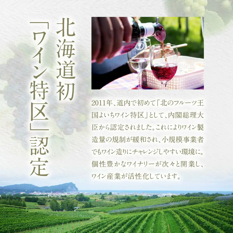 【平川ワイナリー】スパークリングワイン2本セット レザミティエ2020 レザミティエロゼ2019 ワイン 贈り物 ギフト プレゼント  お取り寄せ 北海道 余市町 送料無料_Y090-0017