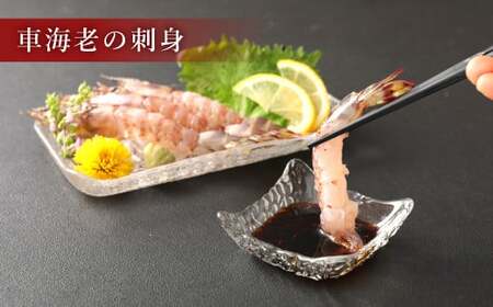 【3ヶ月定期便】原点の車海老「急速冷凍」250g（8～10尾）1パック 合計750g 車海老 車えび くるまえび 急速冷凍 新鮮 お刺身 天ぷら 塩焼き 熊本県産  【2026年10月上旬より月1回発送】