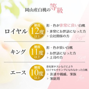 桃 2026年 先行予約 岡山 白桃 ロイヤル 約1.5kg 5～7玉入り もも モモ 岡山県産 国産 フルーツ 果物 ギフト 橋田商店