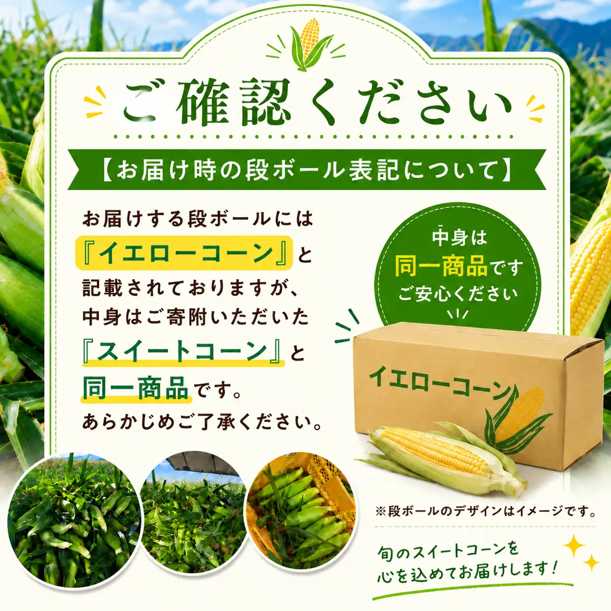 【2026年先行予約】 極甘スイートコーン 2Ｌ級 13本 約5kg （高原野菜の名産地　信州しおじり洗馬産）【7月末～8月中旬にかけて順次発送予定】