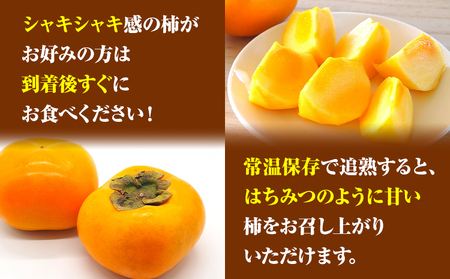 柿 赤秀品 超大玉 刀根早生柿 約1.7kg