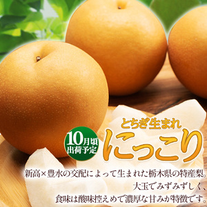 【2026年先行予約】 梨 食べ比べ 定期便 幸水 豊水 にっこり 各5kg【栃木県共通返礼品】P0 栃木県 下野市