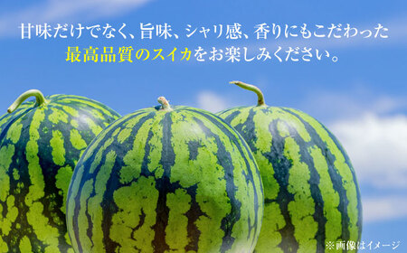 【先行予約】日田天領西瓜 1玉 約7kg～10kg スイカ[ARBD001]