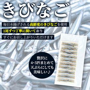 ＜冷凍＞鹿児島県阿久根産 天然きびなごのお刺身(計160尾・20尾×8パック) 国産 魚介 魚貝 海産物 鮮魚 刺身 天ぷら 冷凍配送 キビナゴ 海鮮丼 食品 セット 詰め合わせ 水産加工品【濱崎魚類】akn023-04