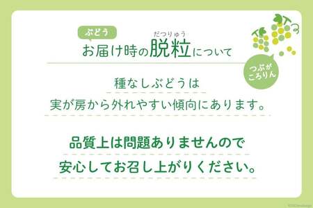 【期間限定発送】 シャインマスカット 予約 2房 約1.2kg 産直 ぶどう [鈴木ぶどう園 山梨県 韮崎市 20743034]