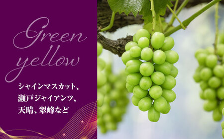 ＜赤秀＞ 種無しぶどう セット 3-5房 2kg BKCI001