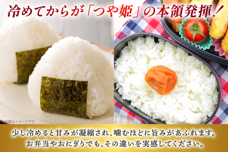令和7年産 厳選米 匠 特別栽培米 つや姫 10kg [金子農園 山形県 高畠町 tk06ays950034]