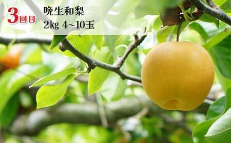 【2026年先行予約】和梨満喫便（全3回） FSY-2543