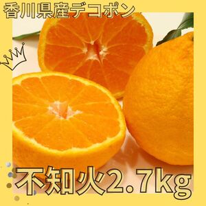 【全3回フルーツ定期便】さぬき讃フルーツさぬきゴールドと小原紅早生みかんと不知火【D-14】