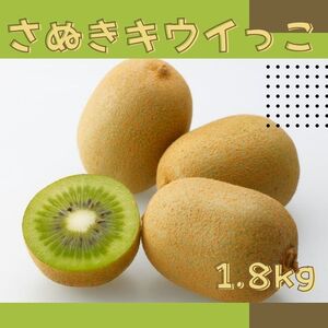 【全3回フルーツ定期便】さぬき讃フルーツさぬきゴールドと香緑とさぬきキウイっこ【D-16】