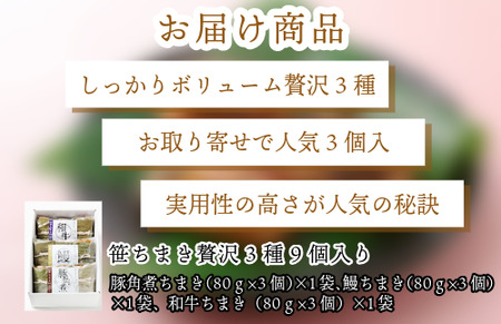 ＜竹千寿＞ 贅沢 笹ちまき 3種 9個 豚角煮 鰻 和牛 [M670-1] 中華ちまき おこわ 笹おこわ 個包装 冷凍おにぎり おにぎり お取り寄せ 贈り物 内祝 お返し お祝い おこわギフト グルメ 冷凍 ちまきギフト おこわセット うなぎ 蒲焼き 博多和牛 福岡 宮若