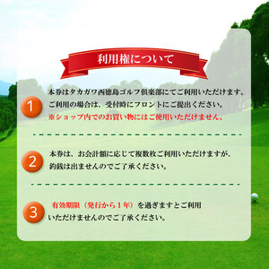 タカガワ西徳島ゴルフ倶楽部 ゴルフ場 利用券 1万円分 プレー券 スポーツ ゴルフ