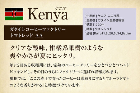 コーヒー豆 自家焙煎 浅煎り 100g 2種 計200g  (生豆時) 飲み比べ セット シングルオリジン [フライヤーズ・カンパニー 北海道 砂川市 12260779]  
