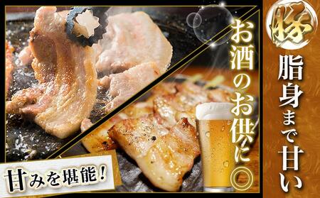 宮崎牛&黒豚バラ焼肉セット(合計1kg)_18-N402_(都城市) 宮崎県産宮崎牛 都城産黒豚  バラ焼肉用 各500g×1P セット 焼肉用カット 焼肉 BBQ 冷凍